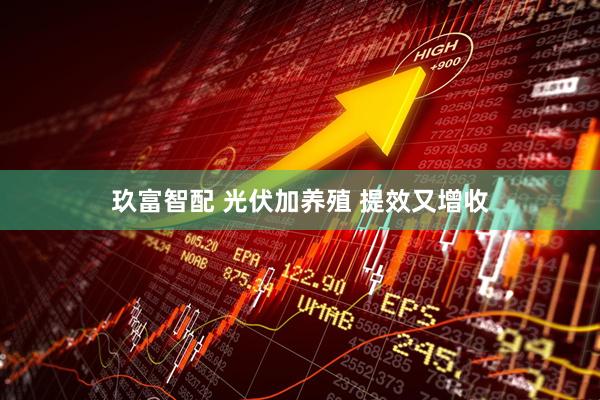玖富智配 光伏加养殖 提效又增收