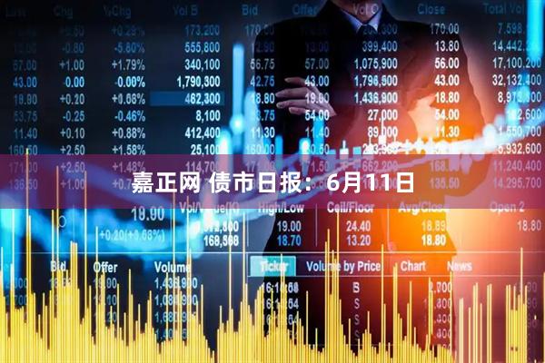 嘉正网 债市日报：6月11日