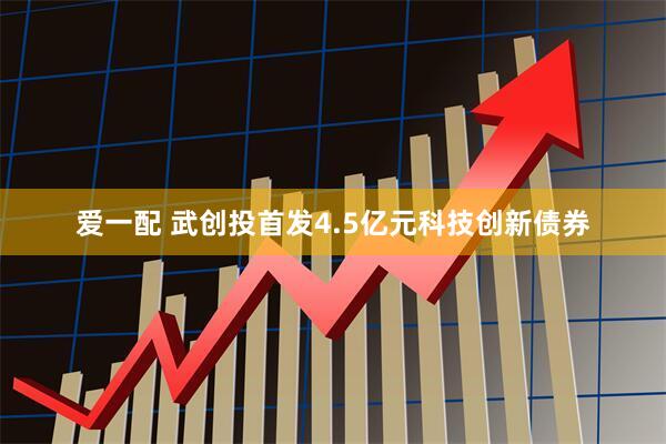 爱一配 武创投首发4.5亿元科技创新债券