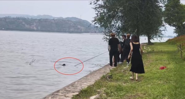 匠心智策 三门峡黄河岸边一对母子不慎落水，危急时刻钓鱼男子伸出鱼竿将其救起