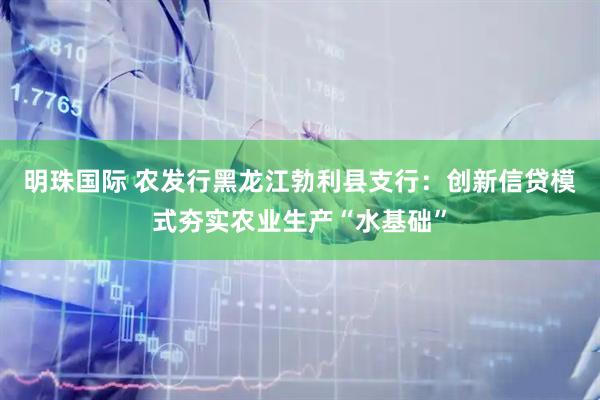 明珠国际 农发行黑龙江勃利县支行：创新信贷模式夯实农业生产“水基础”