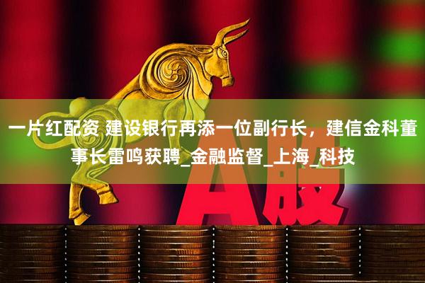 一片红配资 建设银行再添一位副行长，建信金科董事长雷鸣获聘_金融监督_上海_科技