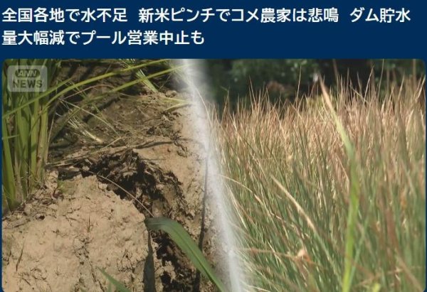 惠红网 日本多地严重缺水 水稻种植户担忧新米收成