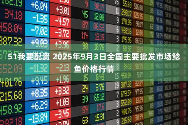 51我要配资 2025年9月3日全国主要批发市场鲶鱼价格行情