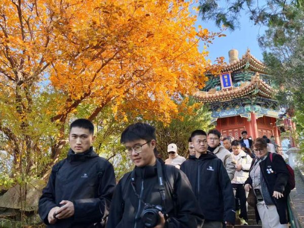 汇通资管 景山公园迎来彩叶最佳观赏期，推荐路线来了